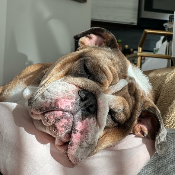 Always accepting offers ♥️ - Picture 3 of 6